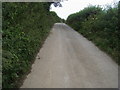 Lane to Thurlestone Sands