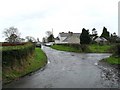 Lough Lane, Bannfoot