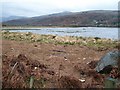 SH5563 : Debris left by the receding flood on the edge of the Afon Rhythallt flood plain by Eric Jones