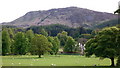 Parkland on Aberuchill estate, Perthshire