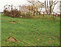 Old graveyard, Lisburn (1)