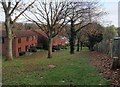 Hospital grounds, Torquay