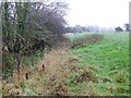 Footpath, Stitchcombe