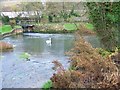 River Kennet, Stitchcombe