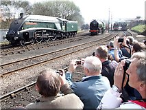 SK4175 : Roundhouse, Barrow Hill by Dave Hitchborne