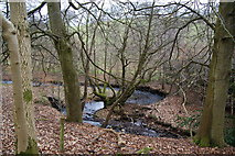 SO3996 : Meandering brook along the Shropshire Way by Bill Boaden
