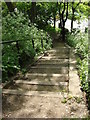 Steps between Parkland Walk and Upper Tollington Park