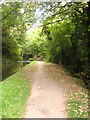 Towpath at Pontymoel