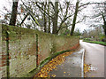 The Street past the Old Rectory