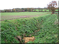 Cultivated fields west of Starston