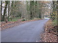 Bridleway branching left off road