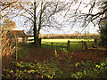 Pasture south of St Mary Magdalene