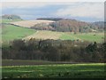 Pastures and woodland east of Coastley (2)