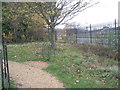 Unappealing seat within Staunton Country Park