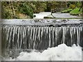 Another view of the East Wilder Brook running through Bicclescombe Gardens