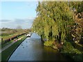 The canal from Gaskell