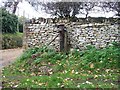 Old water pump in Naunton