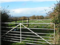 Gates and field next to the A3052