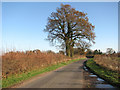 View east along Semere Lane