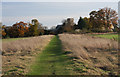 Footpath to Thurston Church