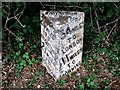 Cast iron milepost near Warnham