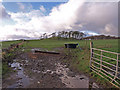 Field Entrance, Craigspark Farm