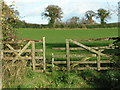 Broken gate into a field at Stoneyford