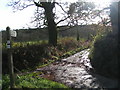 Start of the track heading south onto Colaton Raleigh common