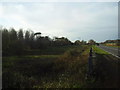 TM3088 : Site of Earsham Bomb siding by Ashley Dace