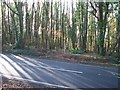 Bridleway meets main road