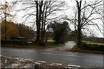SD4195 : Road to Lindeth from the B5284, Bowness to Kendal road by David Long