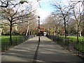 Walkway to the library