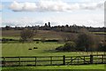 Cattle at rest near Dial House Farm