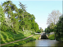 SJ6542 : Audlem Locks No 9, Shropshire Union Canal, Cheshire by Roger  D Kidd