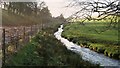 Cameron Burn at Glenhove