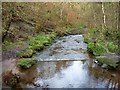 Glencryan Burn in Vault Glen