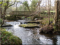 NY9959 : Footbridge and Ford on the edge of Todburn Wood by Clive Nicholson