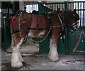 Murdoch - Bradford Industrial Museum - Moorside Road