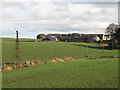 Farmland and wind pump west of East Elrington