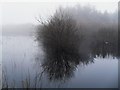 Fermanagh Floods 2009 (15 of 19): Mullygarry