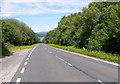 The A886 descending to Loch Fyne