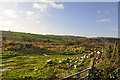 Waste corner of field - Hatt