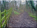 Fence in Portland Park