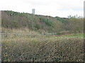 Embankment carrying the A30 south-east of Exeter Airport