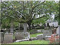 Graveyard at Cumbernauld Old Parish Church