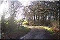 Park House access road through Southpark Wood