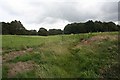 Footpath near Nether Alderley