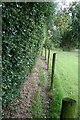 Narrow footpath near Adder