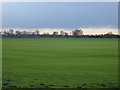 Farmland, Carr Farm