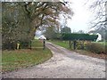 Farm driveway